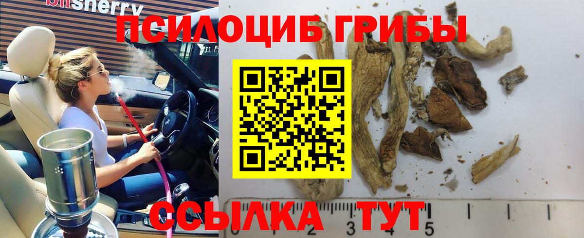 Янаул  Галлюциногенные грибы Magic Shrooms  где купить наркотик  Вход с VPN  Галлюциногенные грибы мицелий 